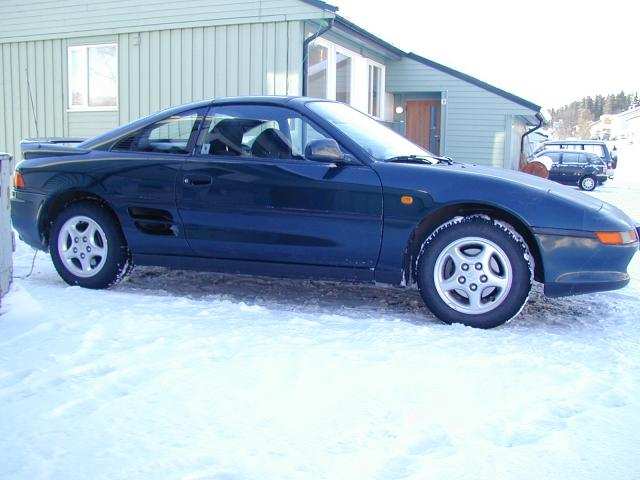 mr231.jpg