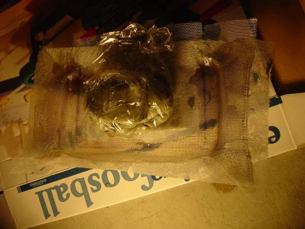 DSC02159.sized[1].jpg