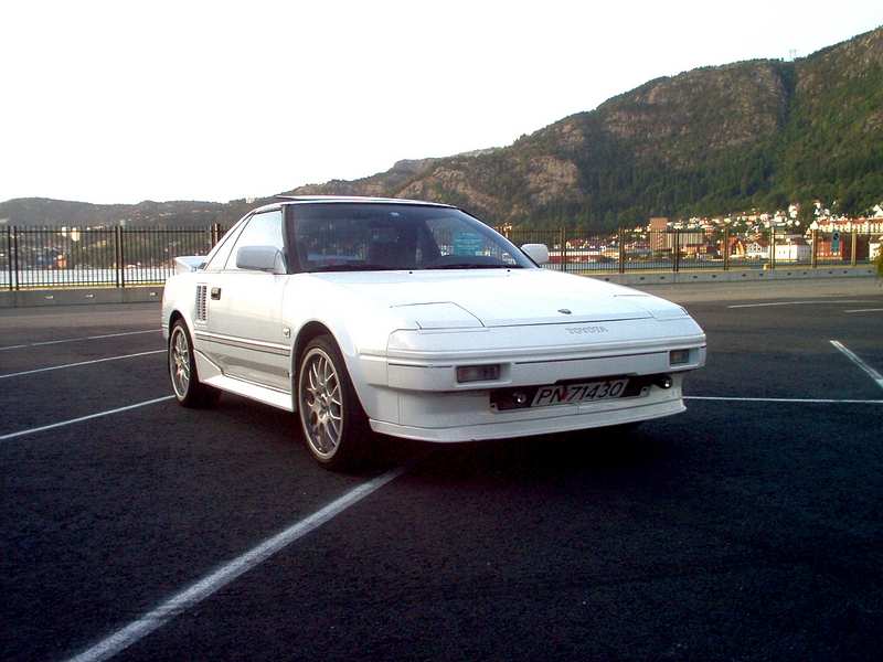 Mr217.jpg