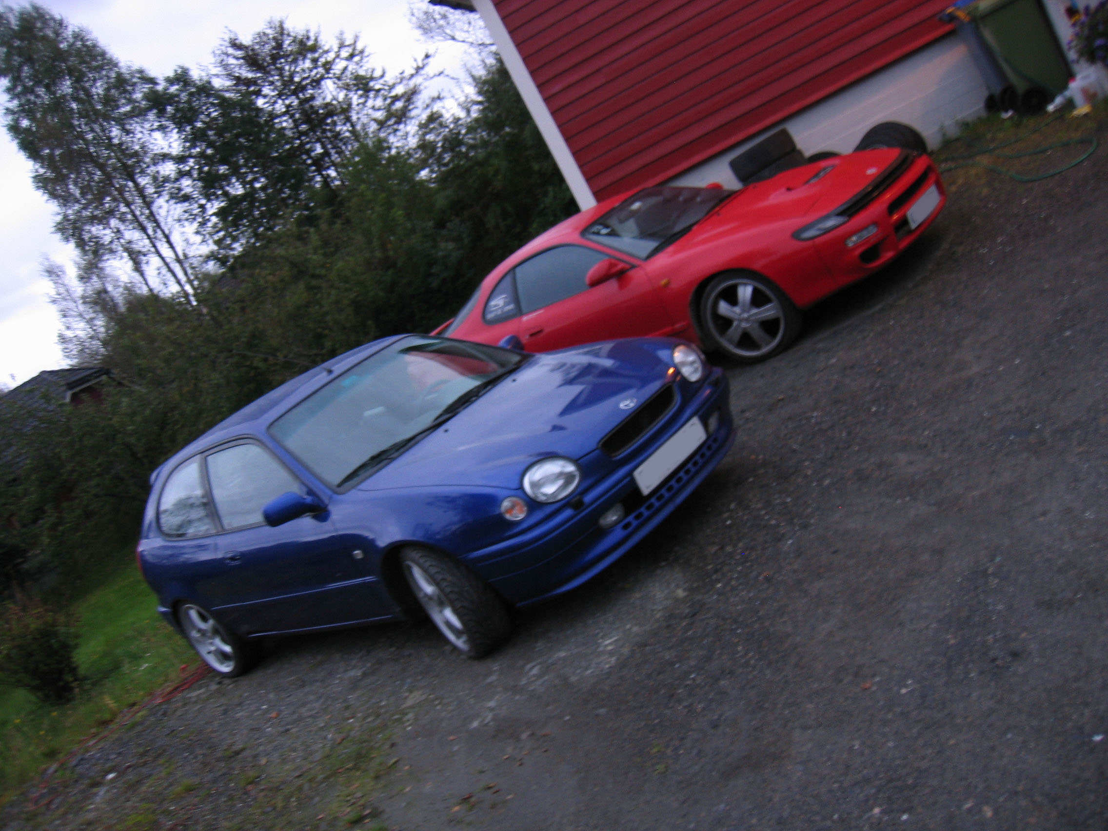 Håper disse blir venner med hverandre da..