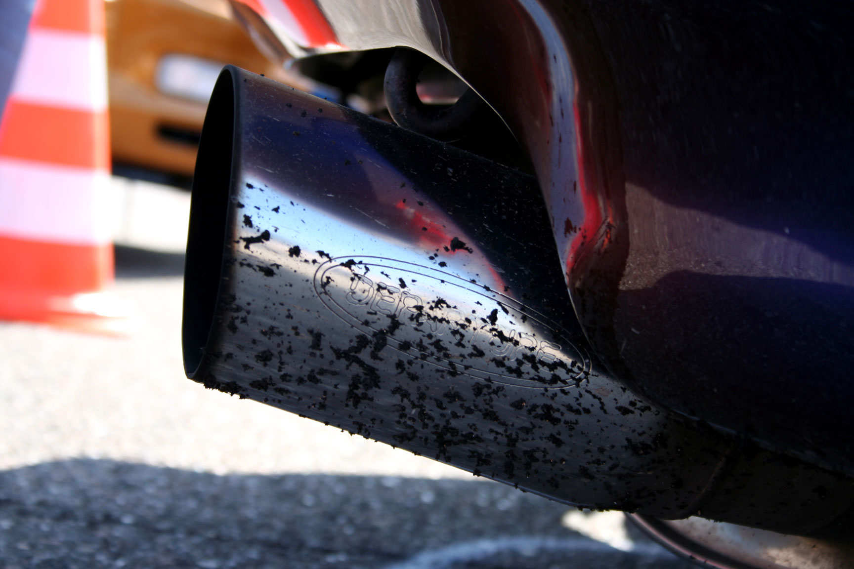 Endetarmen på kamelonen