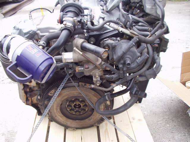 P1010050.JPG
