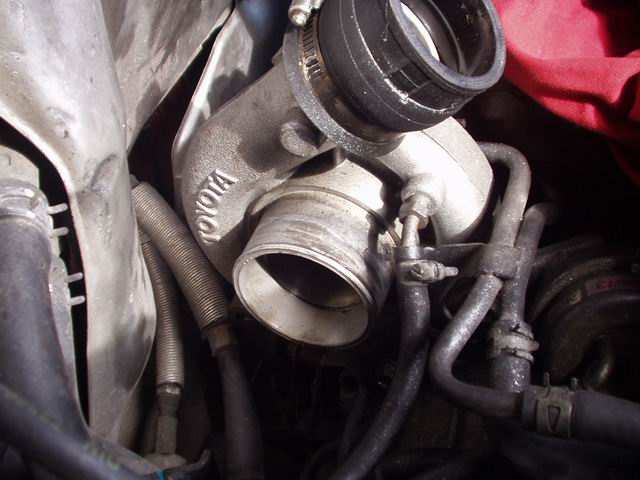P1010039.JPG