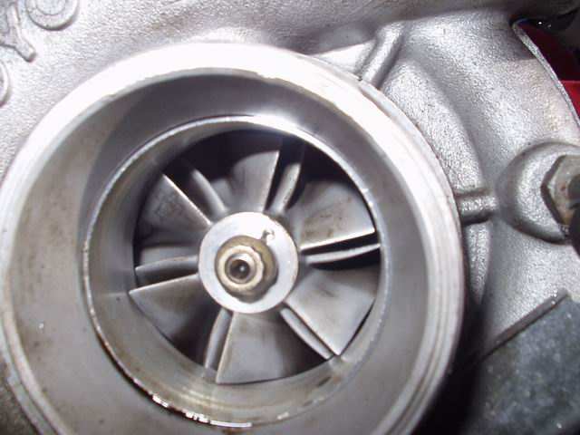 P1010038.JPG