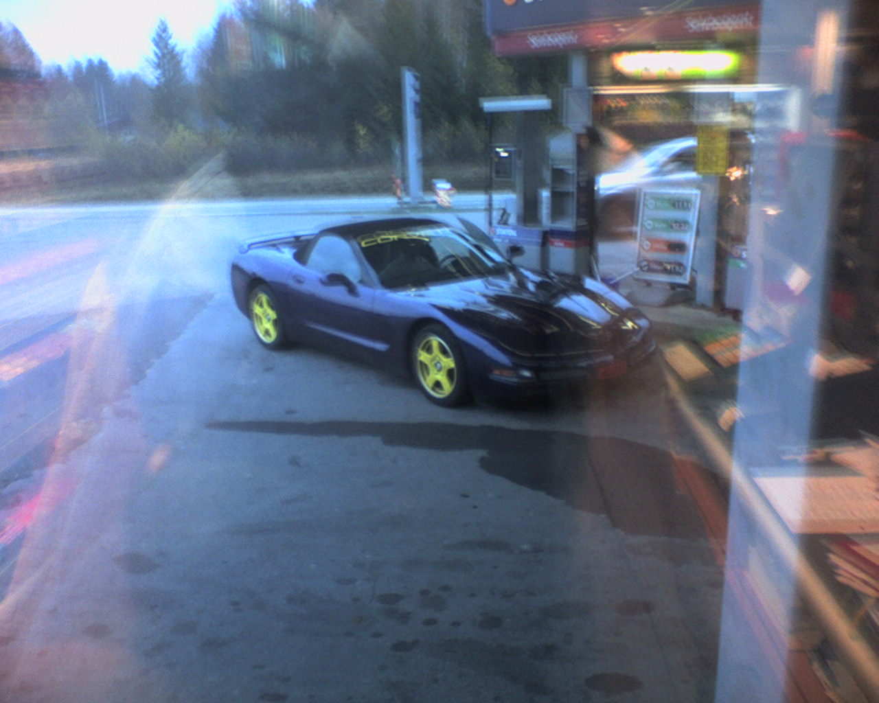 Gærfin i lakk og trekk ;)