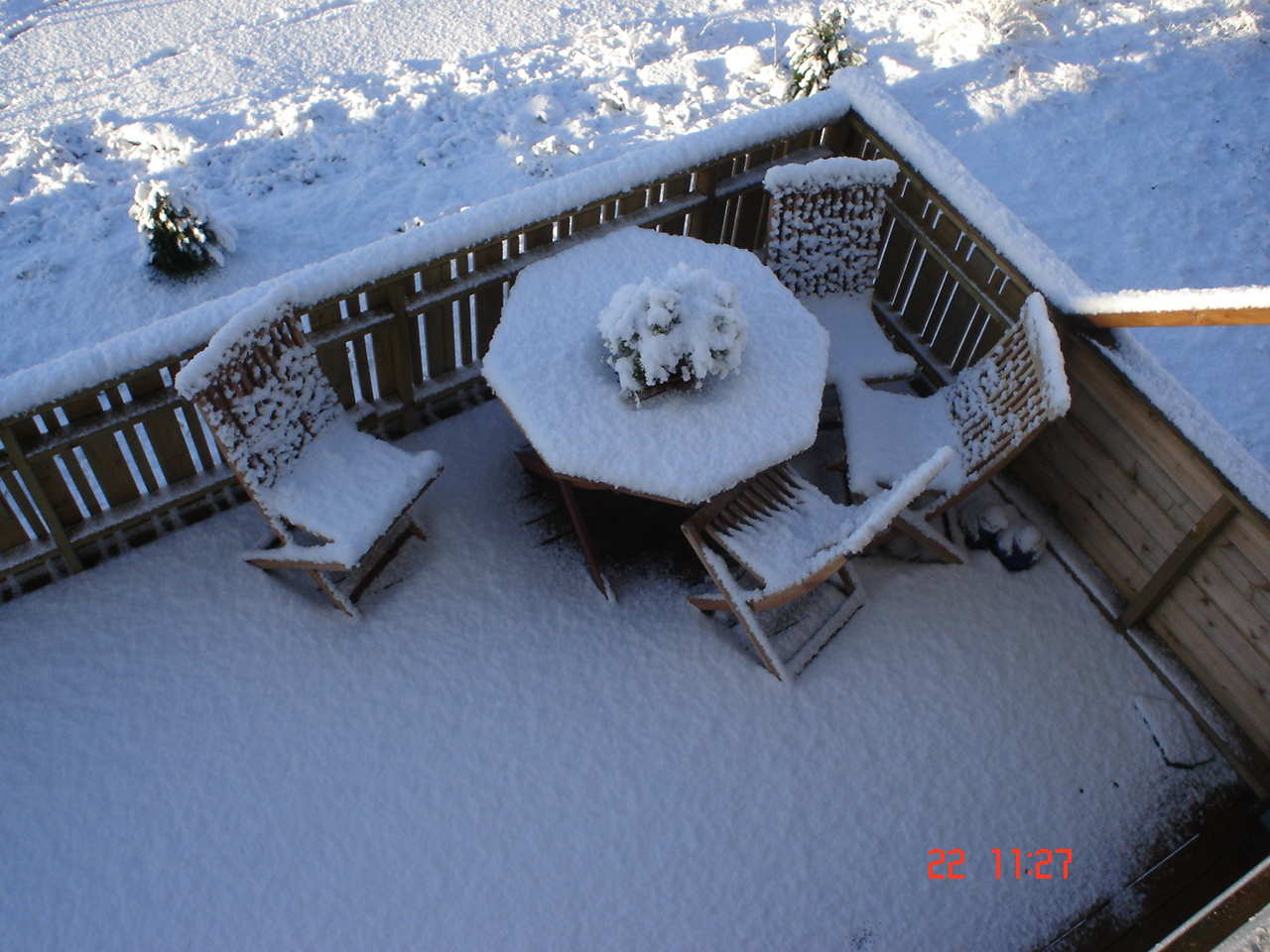 Kom brått på, blomster på terrassen enda...