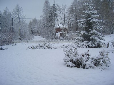CIMG0980.jpg