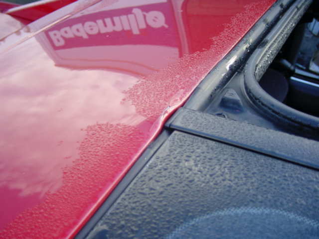 DSC05805.JPG