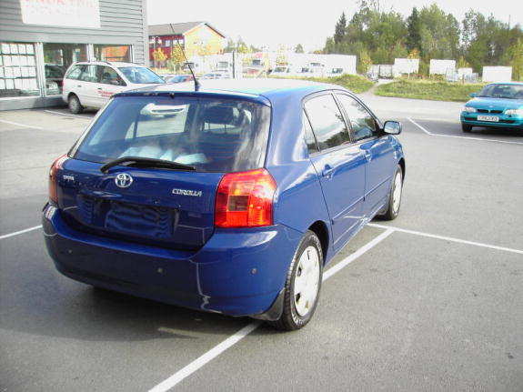 backblue.jpg