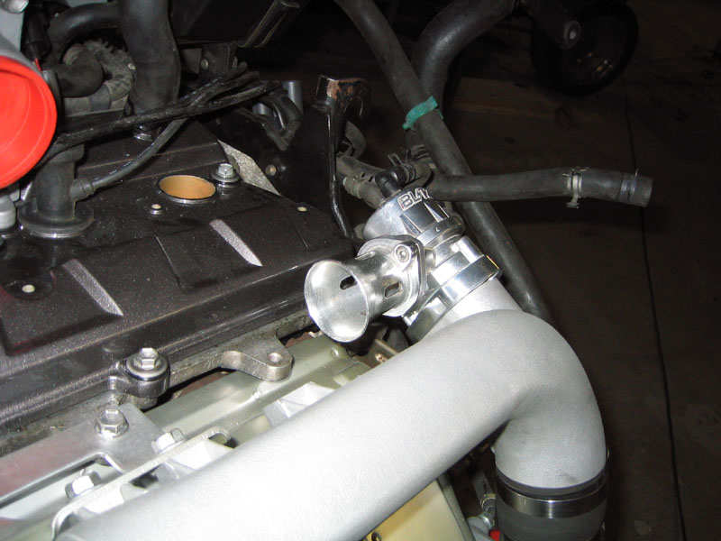 bov2.jpg
