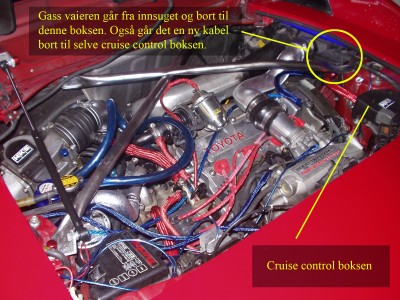 cruise_1.jpg