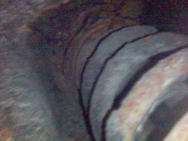 Rust i fjærtopper, ikke EU ok