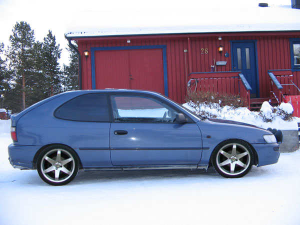 corolla.jpg