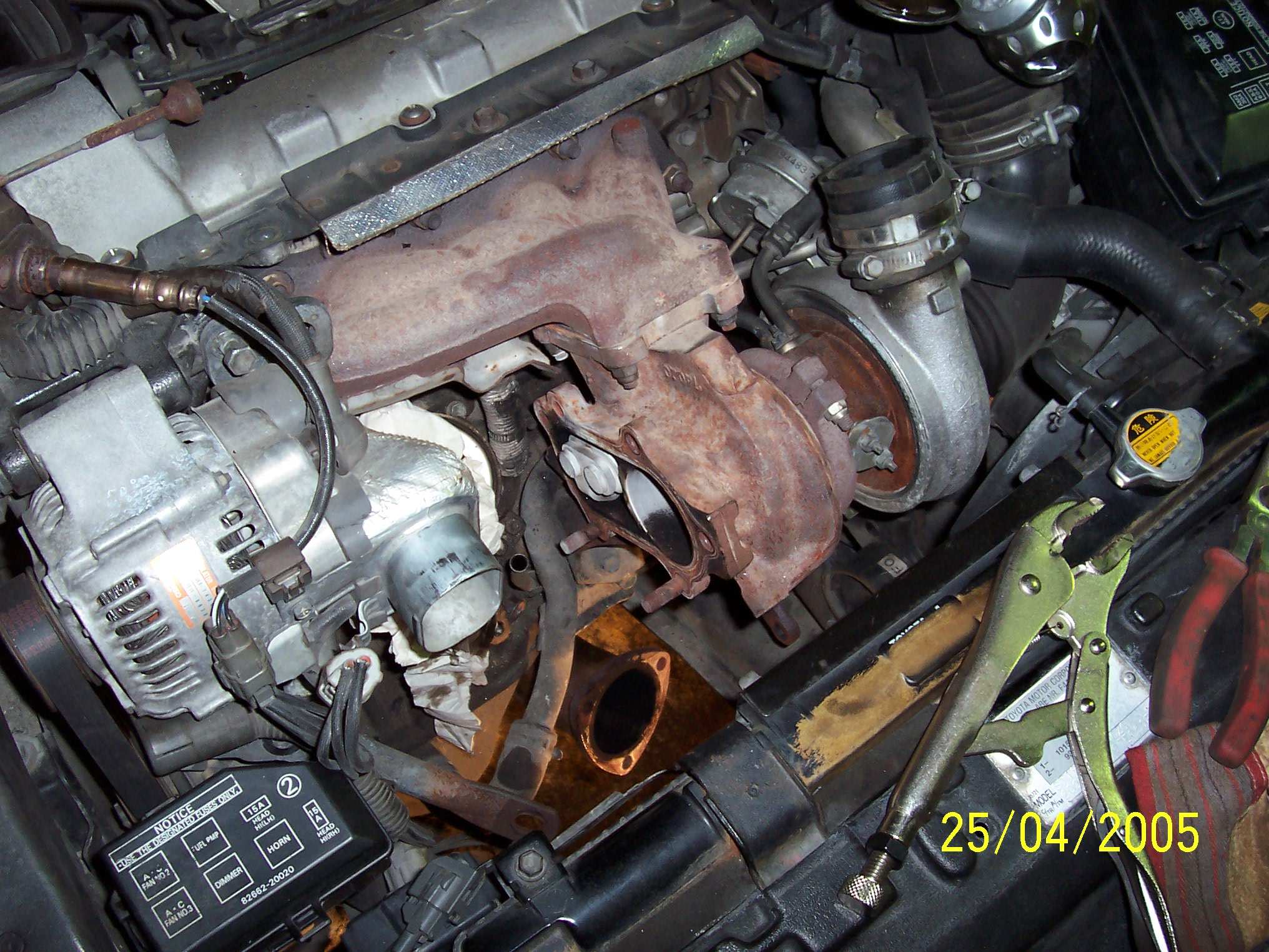 Celica_GT4_CS 002.jpg