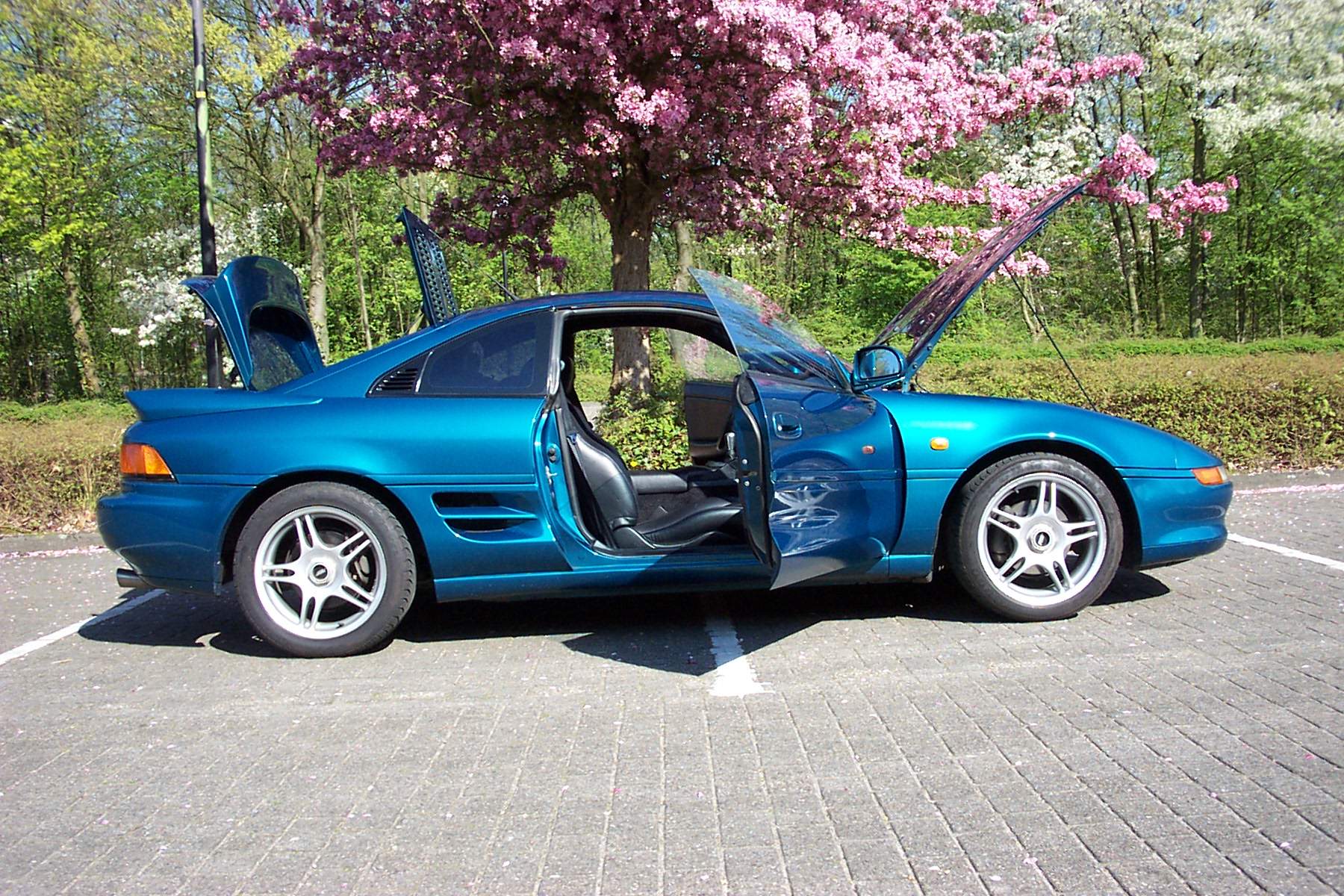 20020402%20MR-05.jpg