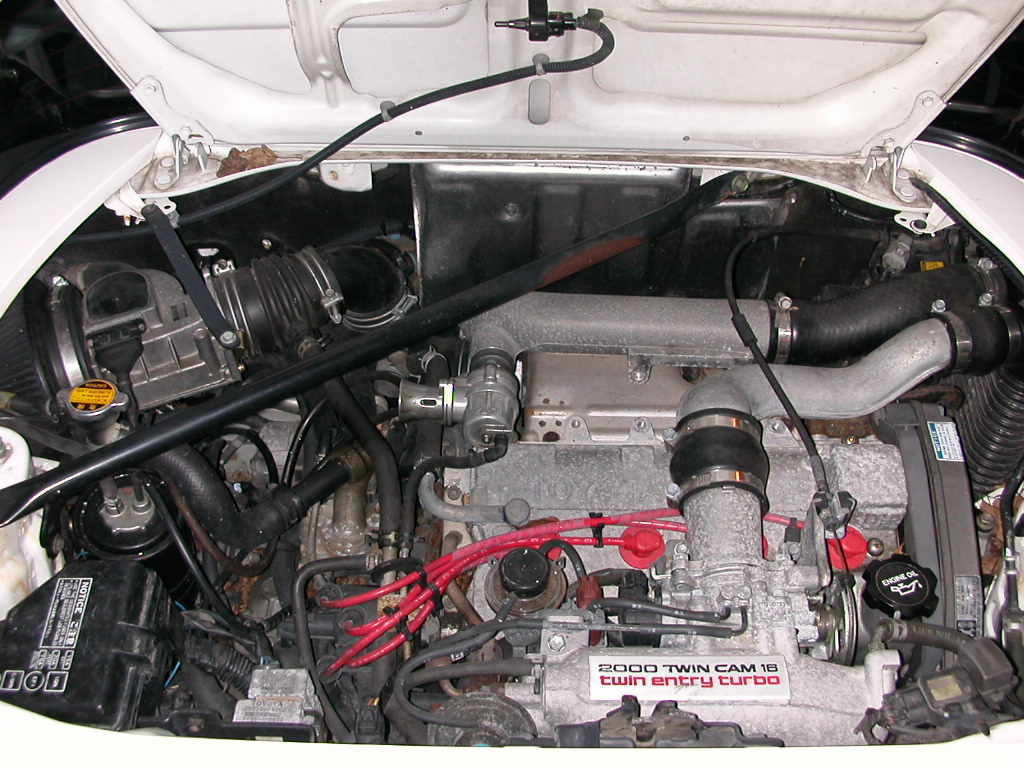 DSCN0379.JPG