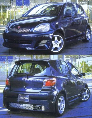 vitz14.jpg