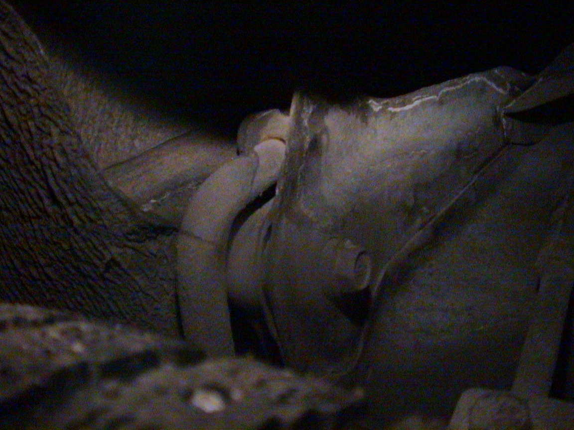 DSC00013.JPG