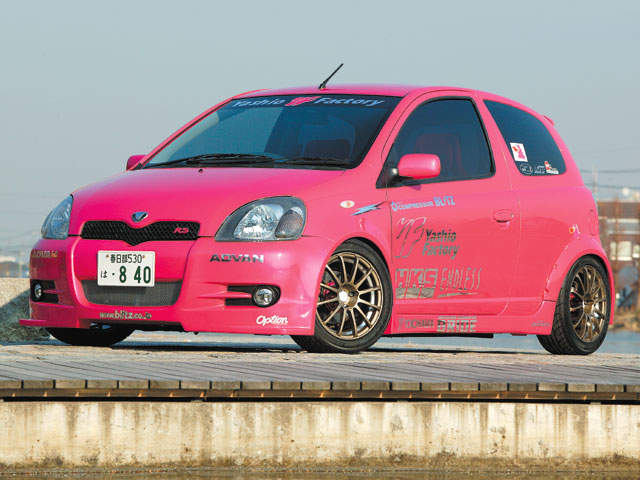 130_0310_vitz_01_z.jpg