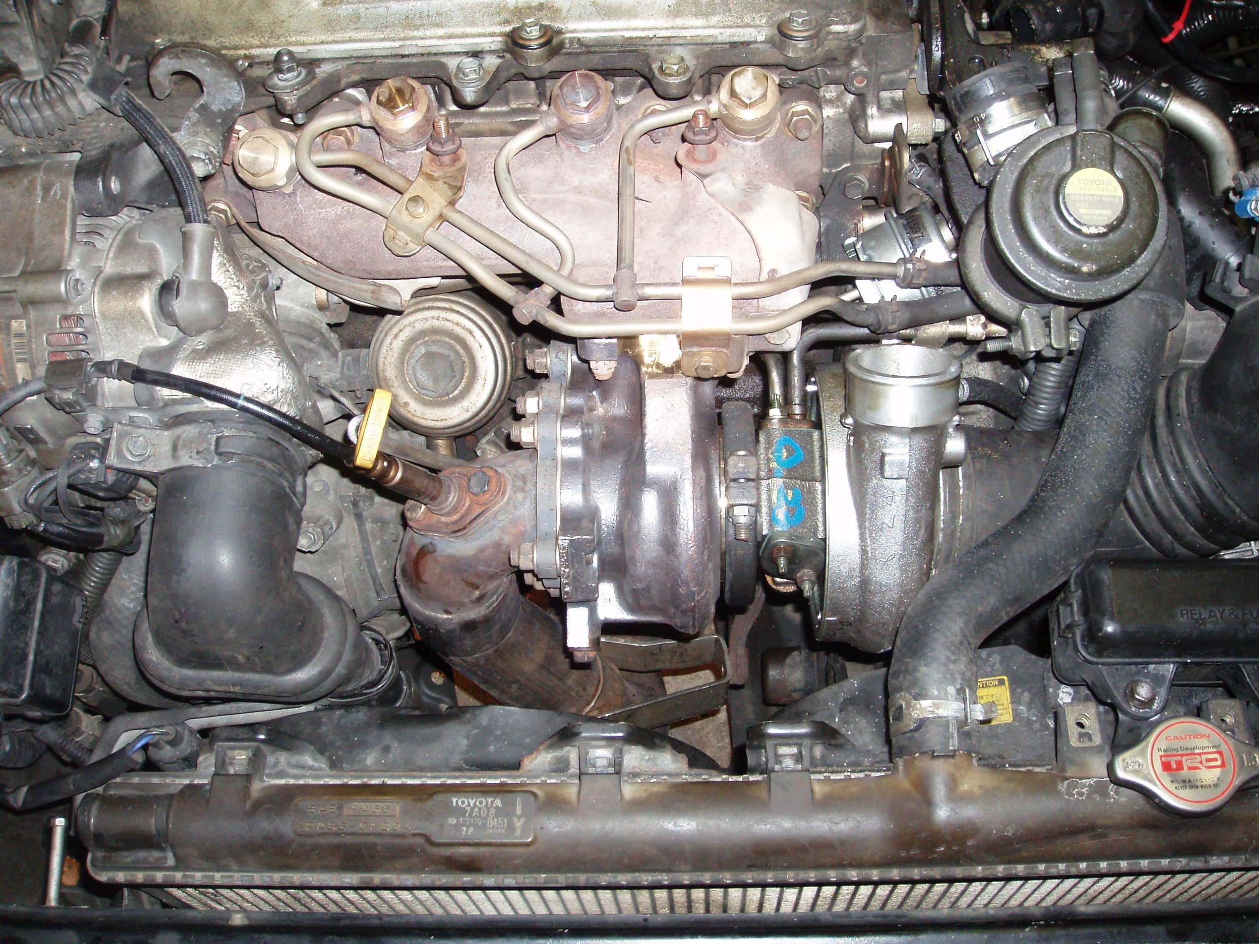 det var jo disse slangene som jeg snakket om i en annen post da vettu.