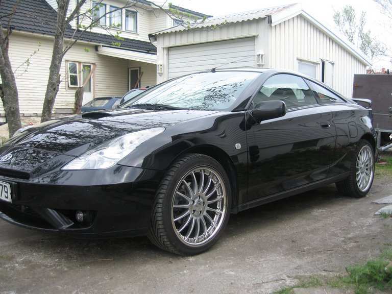 Goose sine ... er nå mine :)