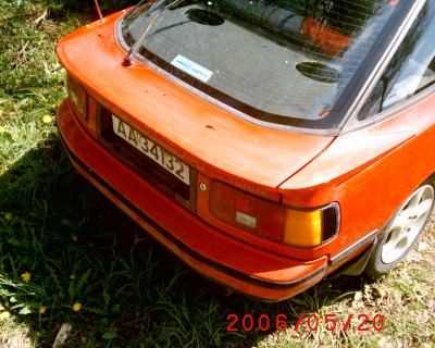 S1010003.JPG
