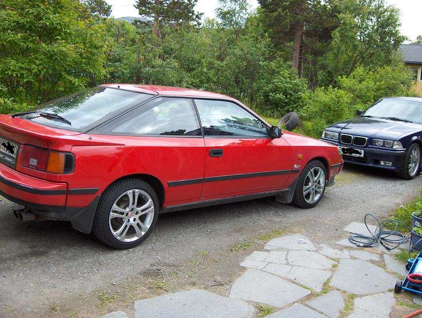 Her er 3-4 uker senere :) Tatt tidligere idag :)