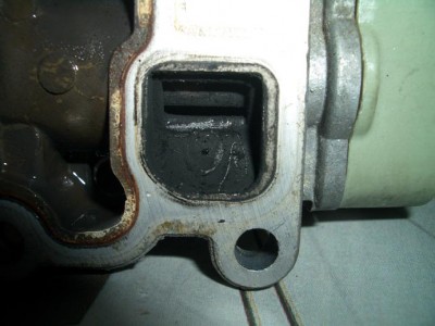 IAC-1.jpg