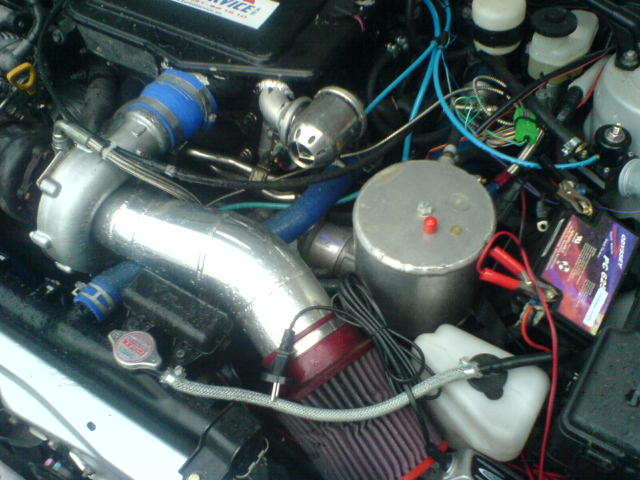 DSC00483.JPG