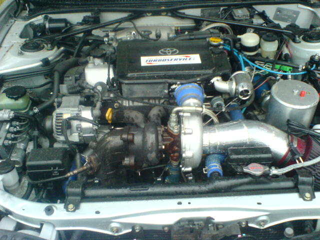 DSC00485.JPG