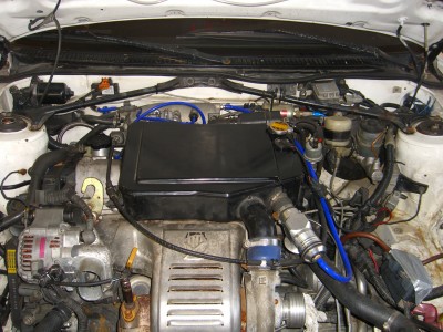 CIMG1294.JPG