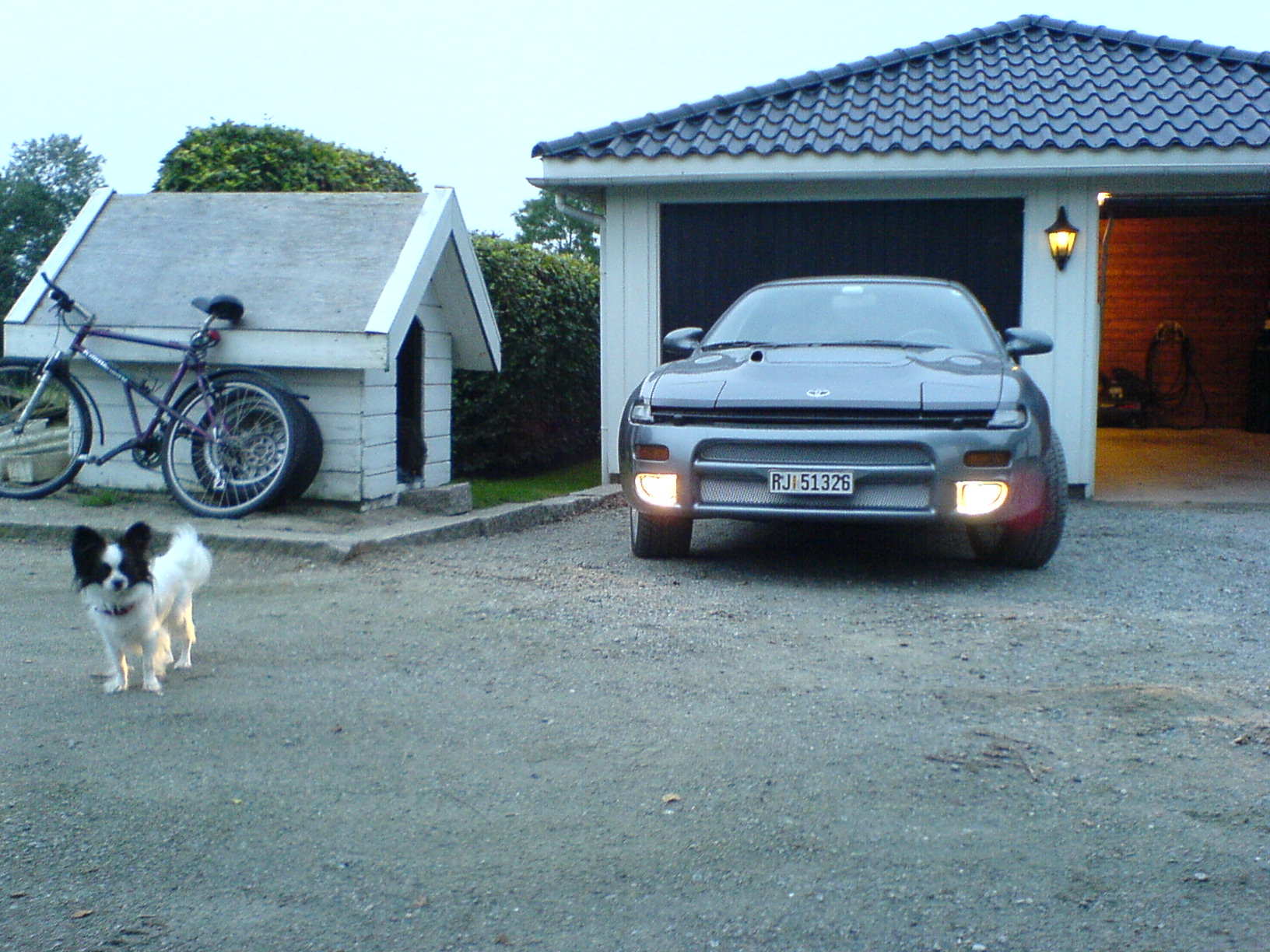 Måtte bare ta med et bilde hvor bikkja poserer til sides for bilen.