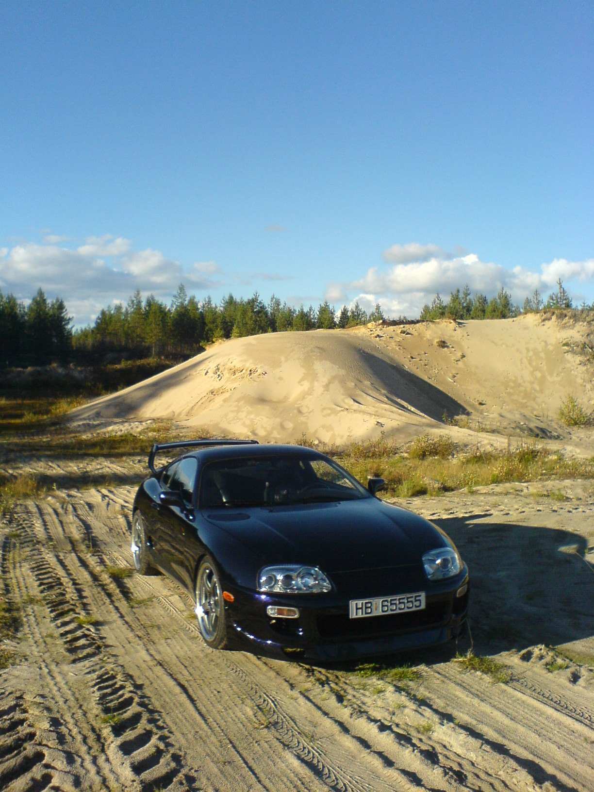 Min med vinge II 011.jpg