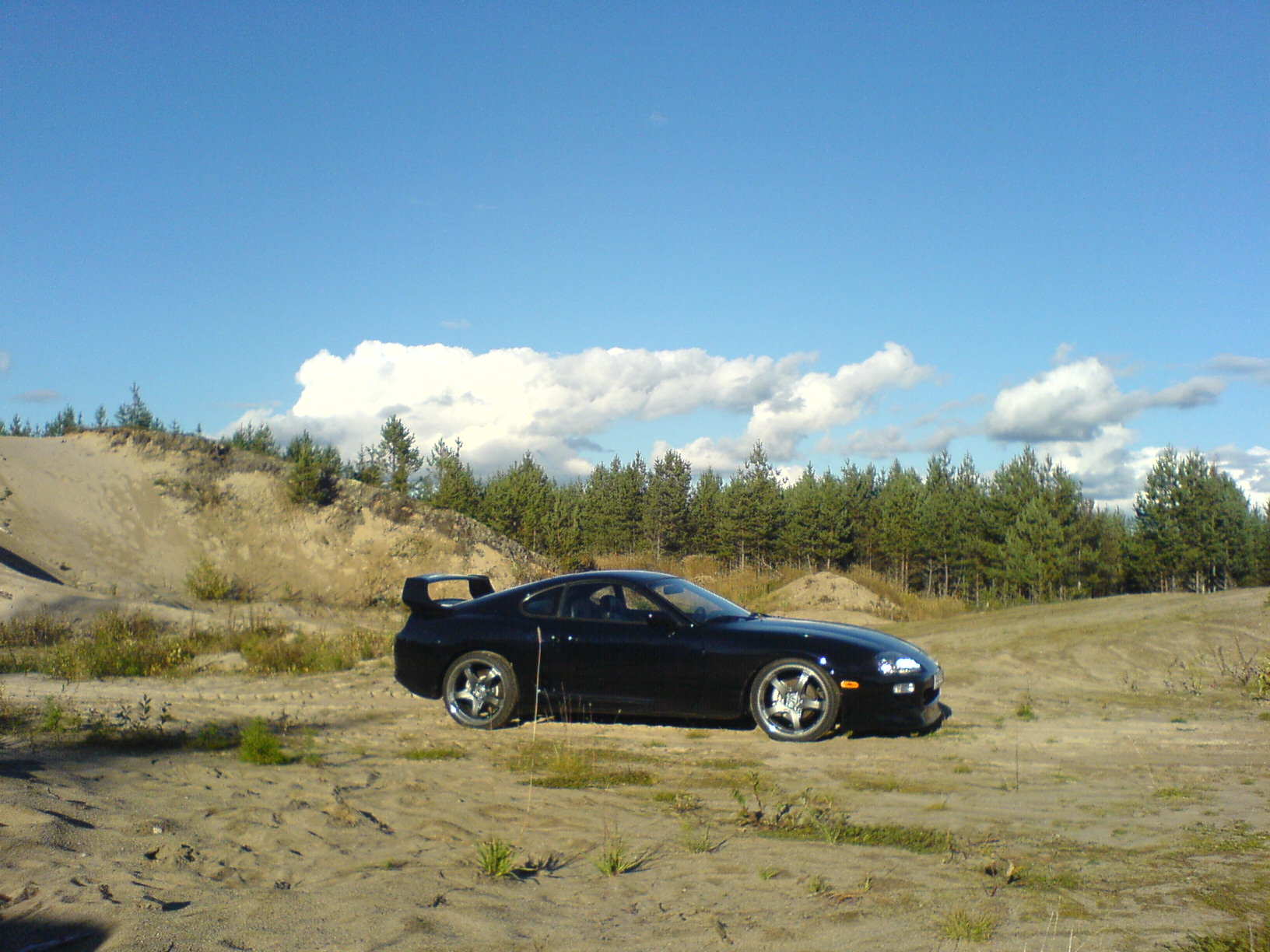 Min med vinge II 015.jpg