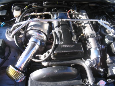 min supra 006.jpg