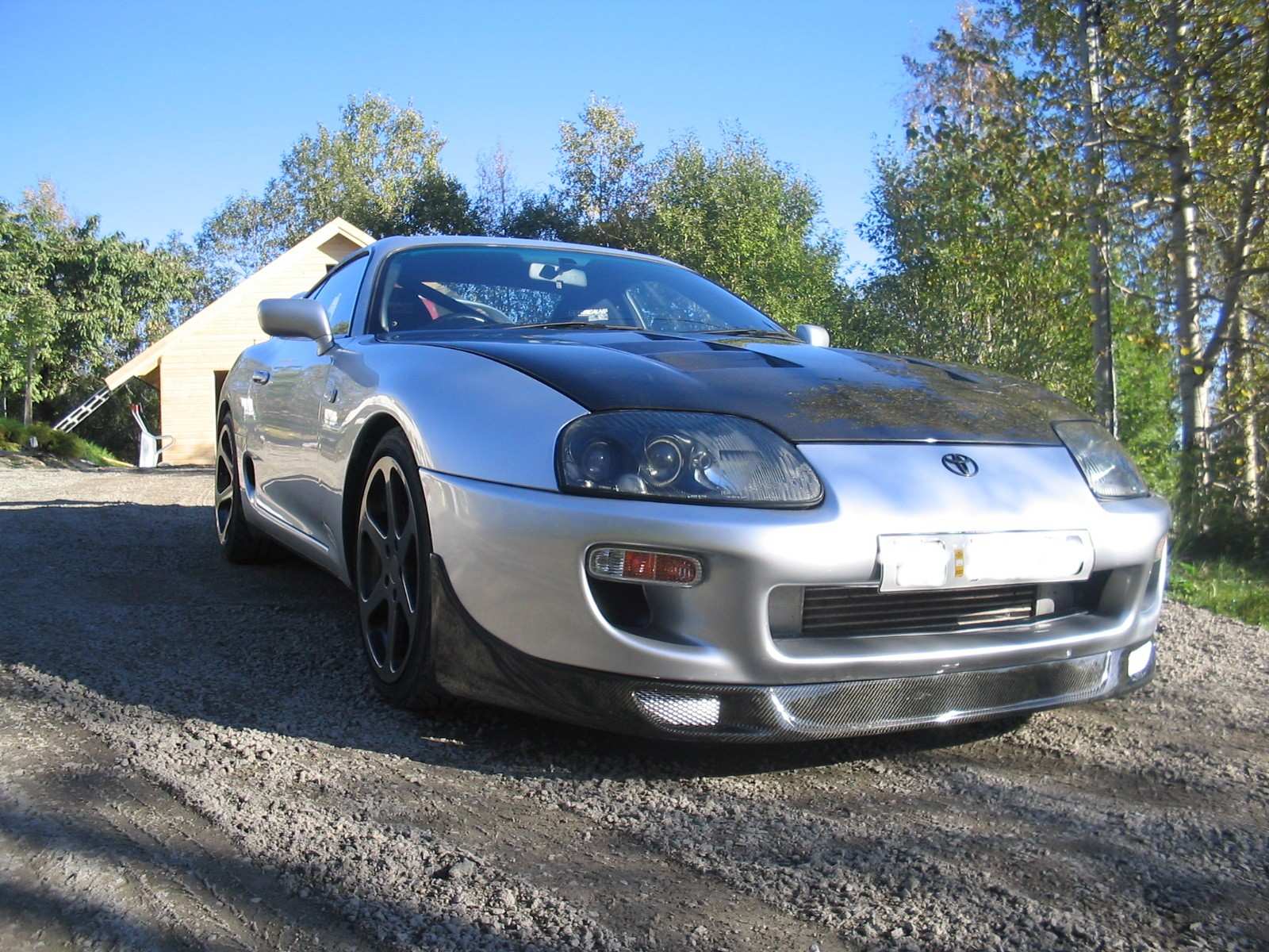 min supra 022.jpg