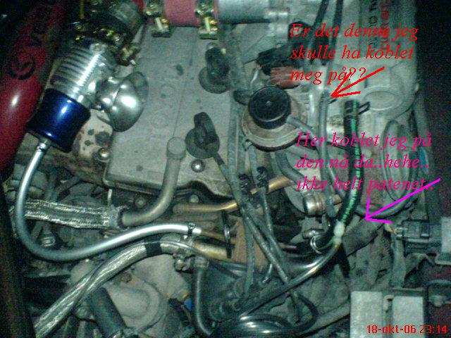 DSC00654.JPG