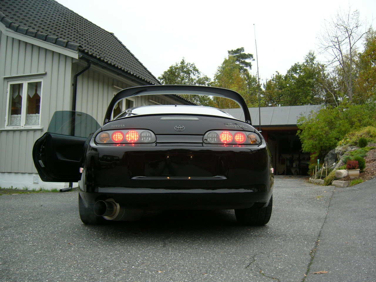 Supra (12).JPG