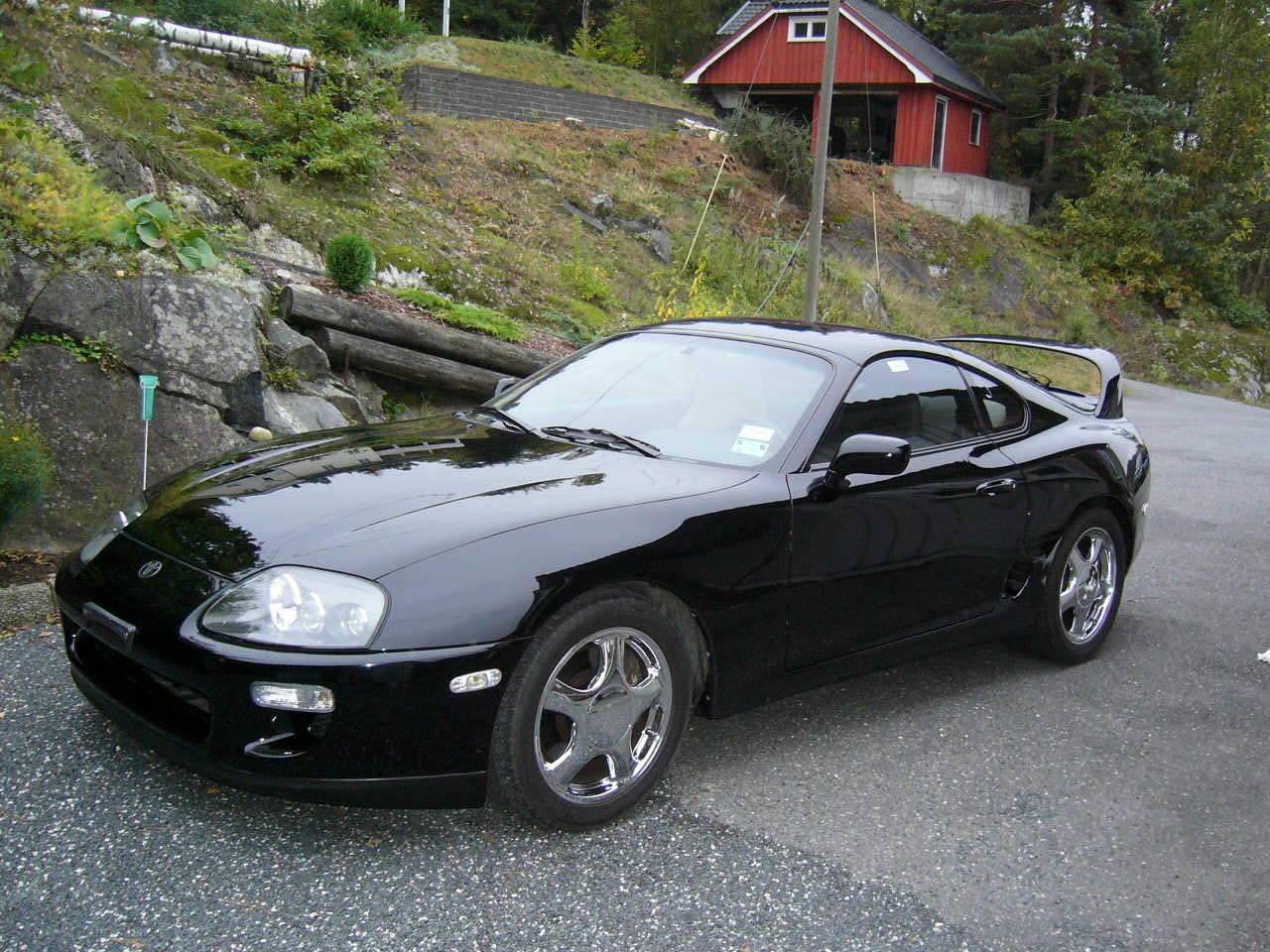 Supra (1).JPG