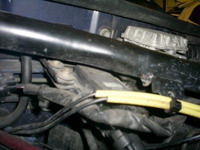 S5020667.JPG