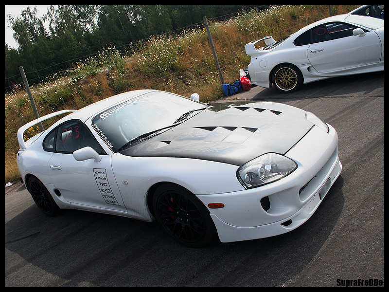 Musseldorf Supra.jpg