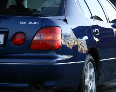 IMG_0032_CROP.jpg