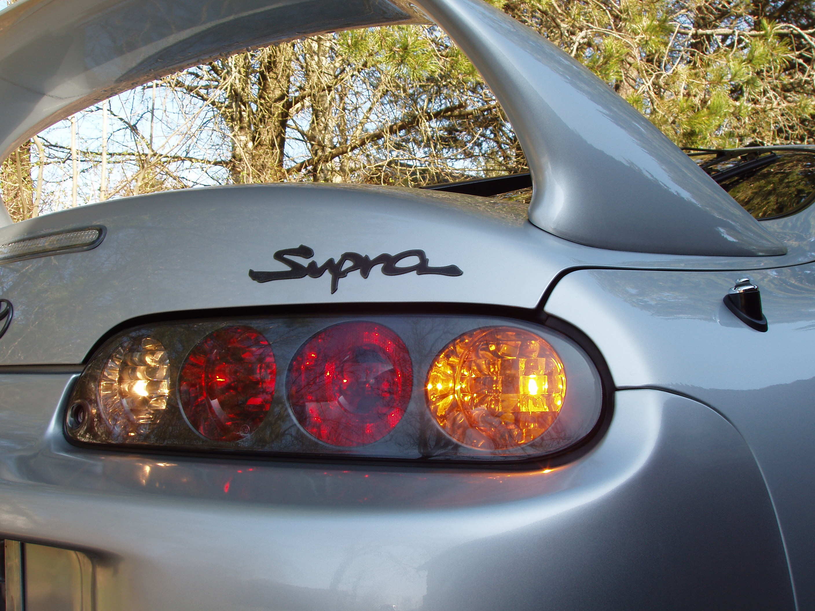 sølvsupra 2 024.jpg