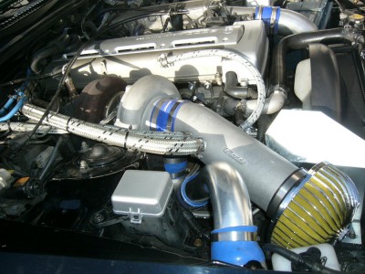 supra_4.jpg