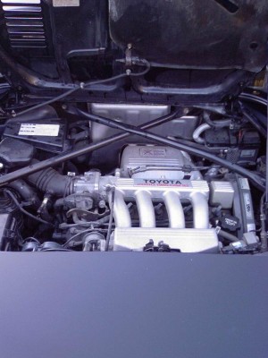 Motor.jpg