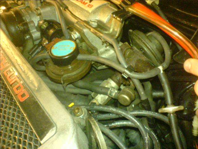DSC00684.JPG