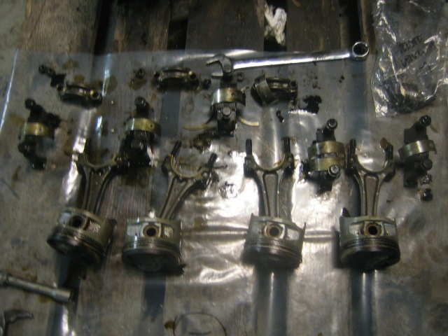 Stempler, råder, lagre og bukker plukket ut