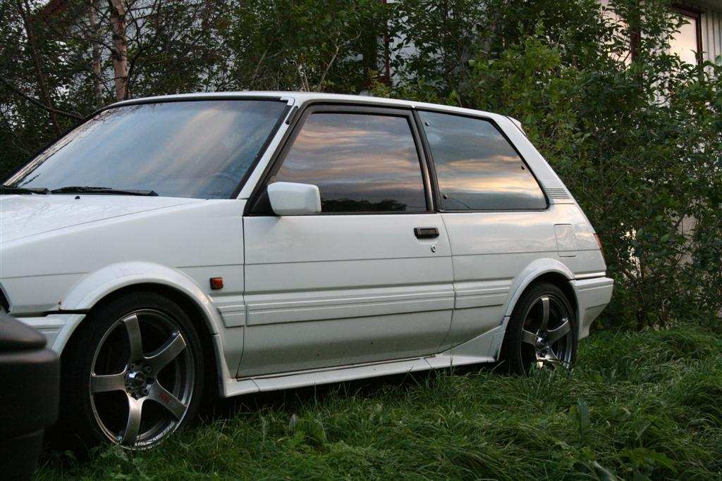 IMG_0910 (Large).JPG