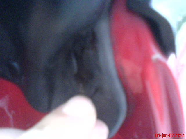 DSC00223.JPG