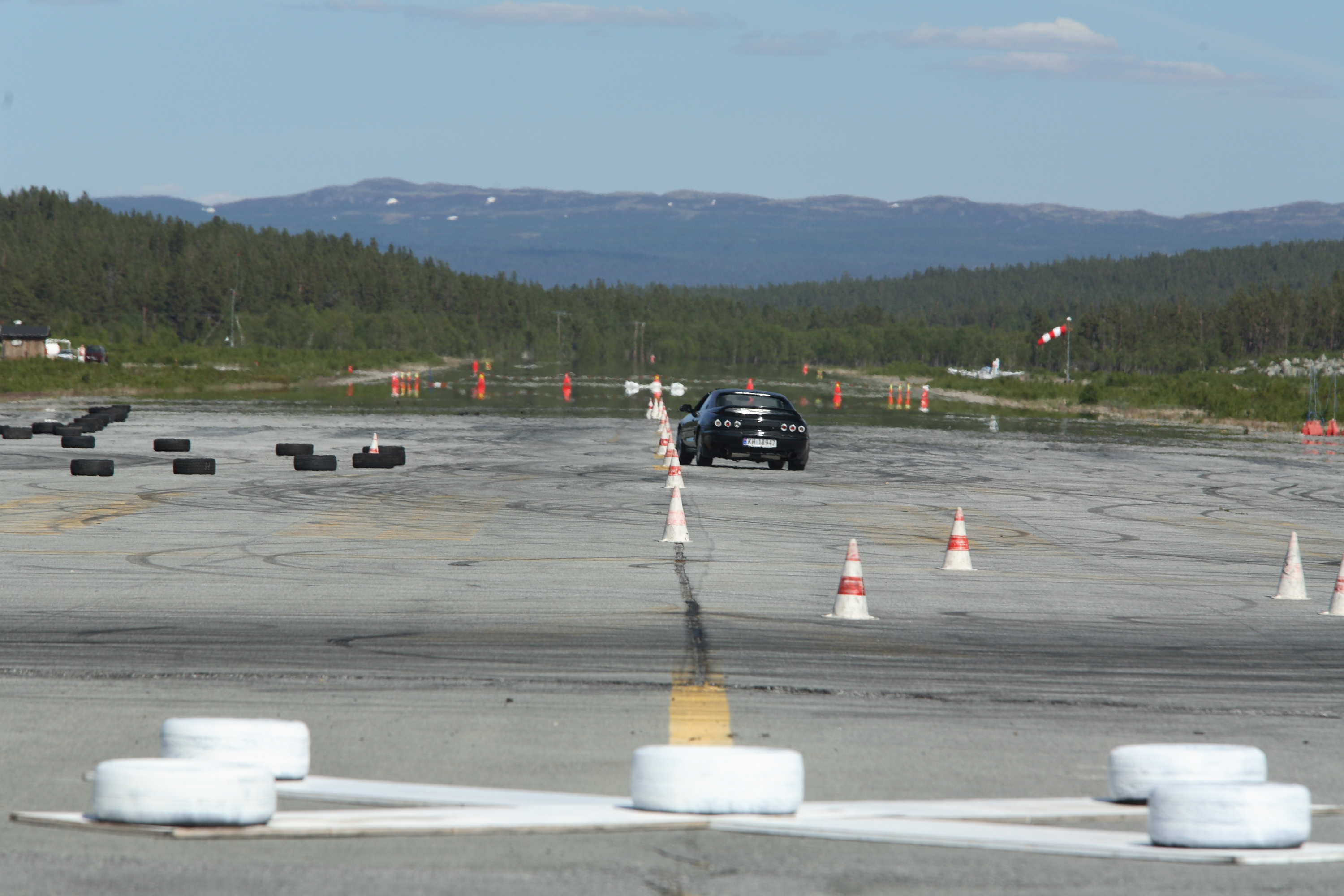 Dagalistripa i varmedis